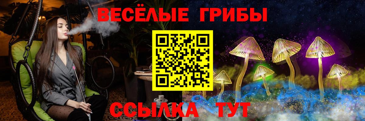 Псилоцибиновые грибы ЛСД Анапа
