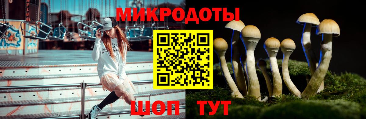 Галлюциногенные грибы Magic Shrooms  Галлюциногенные грибы Psilocybine cubensis  Вход с VPN  Анапа 